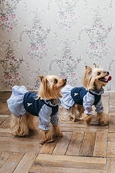 大型犬さん用お洋服　オーダー見本 商用OK! おしゃれな犬のお洋服: 重ね着＆上下コーデも楽しめる